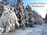 Acadia’s Winter Wonderland